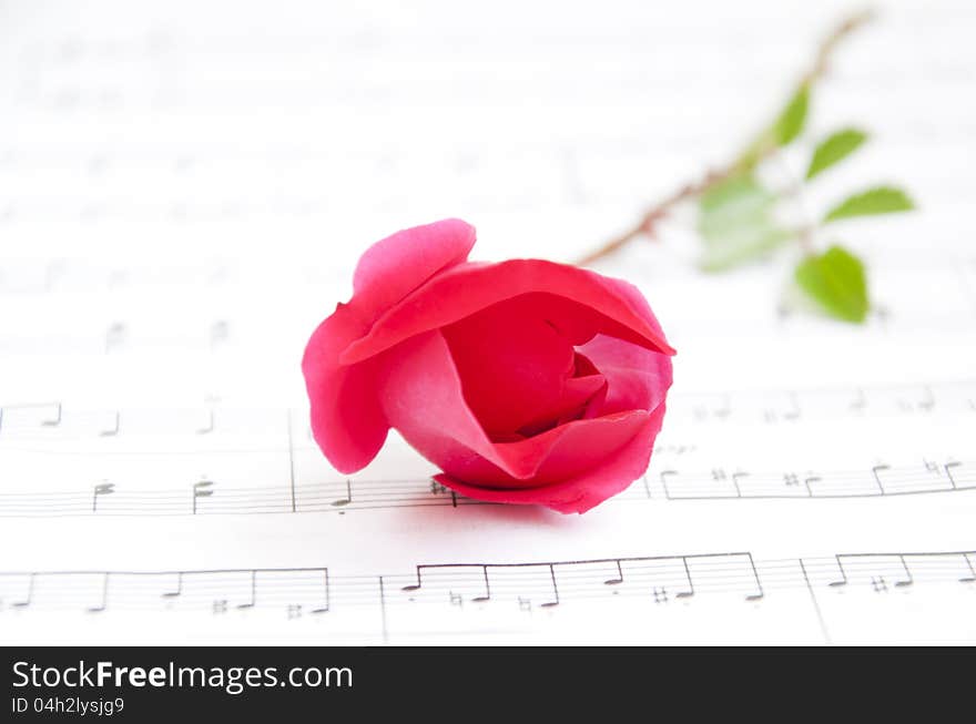 Sheet of classical notes and red rose. Sheet of classical notes and red rose