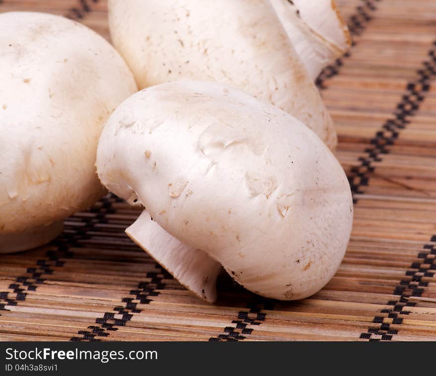 Raw White Champignon Mushroom Closeup