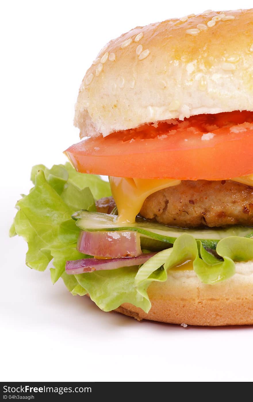 Tasty Hamburger clipping path