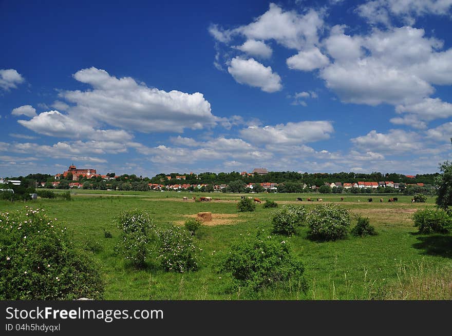 Countryside landscape, Havelberg, Saxony Anhalt, Germany. Countryside landscape, Havelberg, Saxony Anhalt, Germany