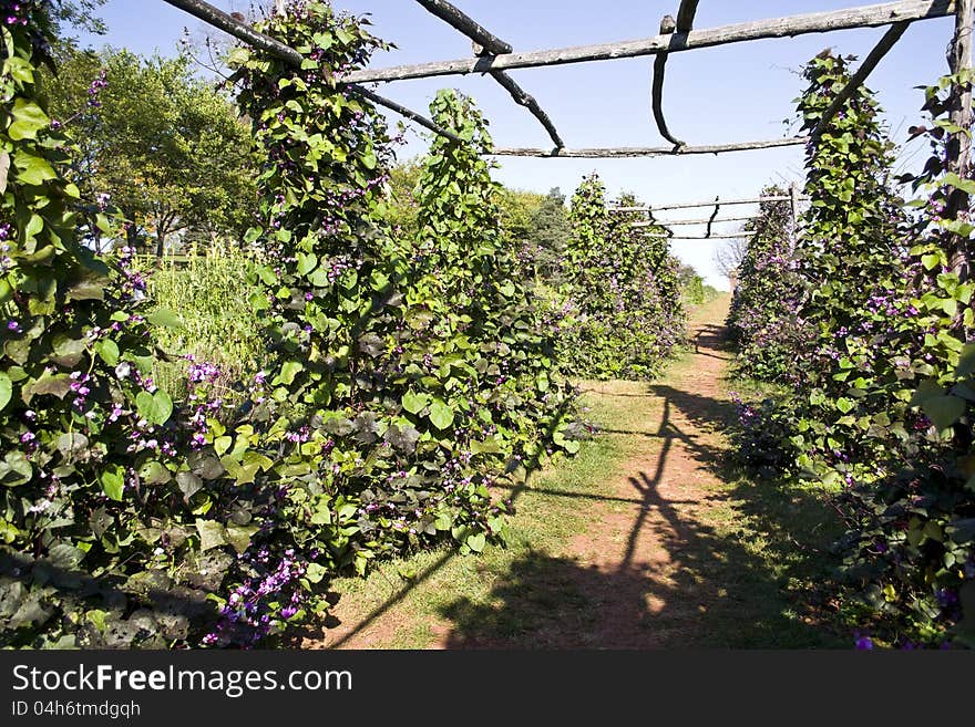 Formal Garden