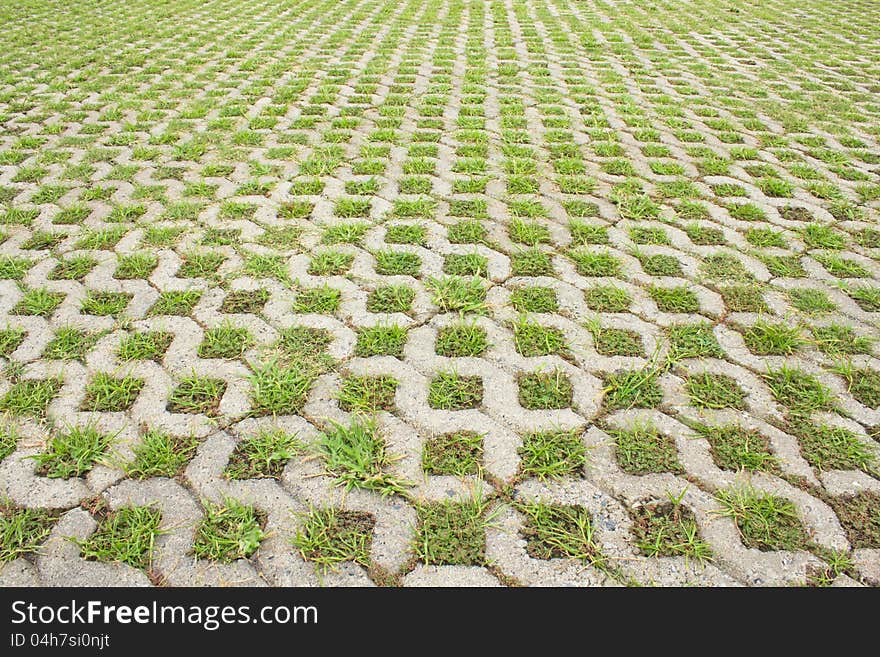 Grass in the brick walkway.