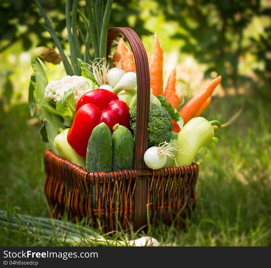 Fresh vegetables in a wicker basket