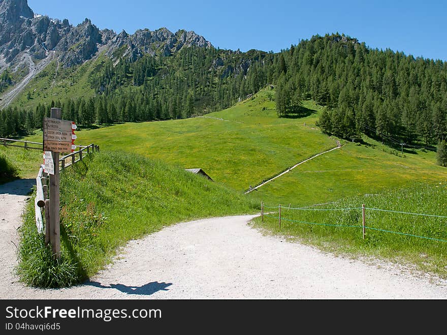 A path in italian Alps with forest in the background and blu sky with wood sign. A path in italian Alps with forest in the background and blu sky with wood sign