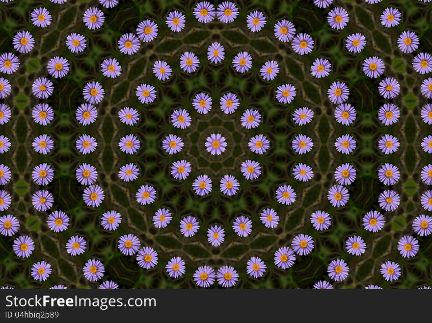 Circular composition from wild flowers on a dark background