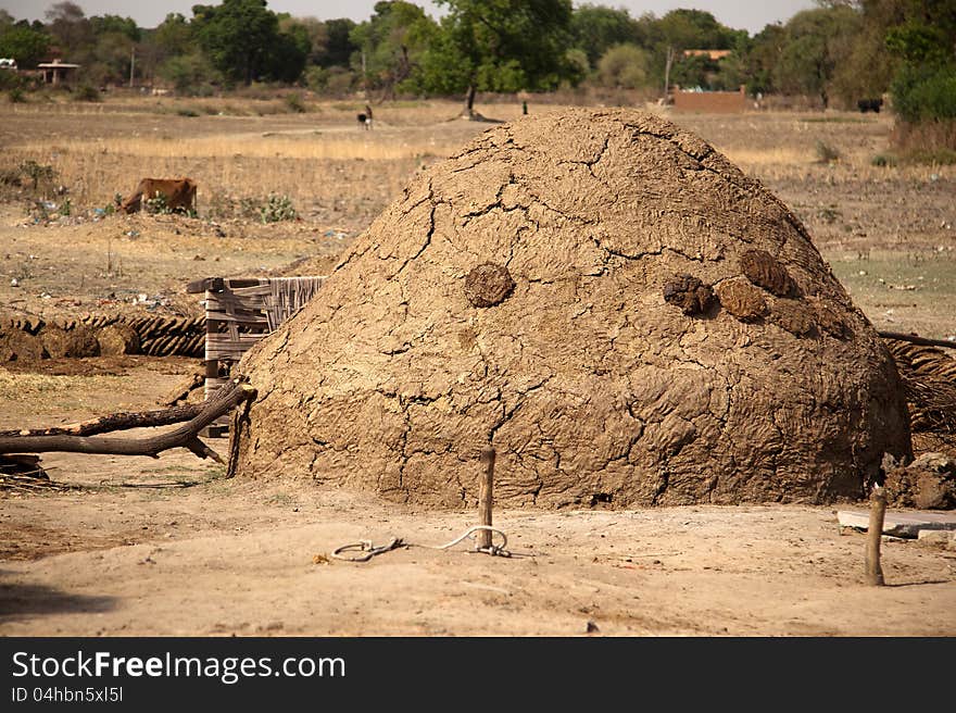 Collection of cow and buffalo dung cake. Collection of cow and buffalo dung cake