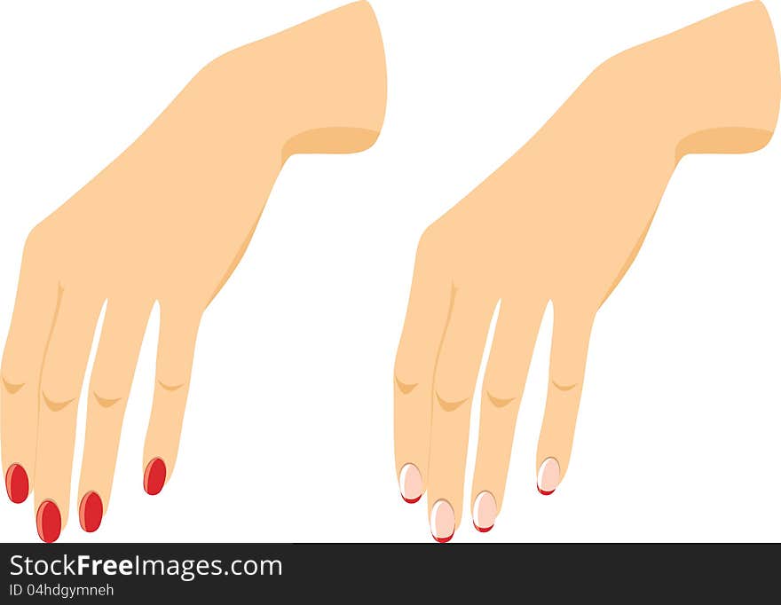 Female Hands With Manicure