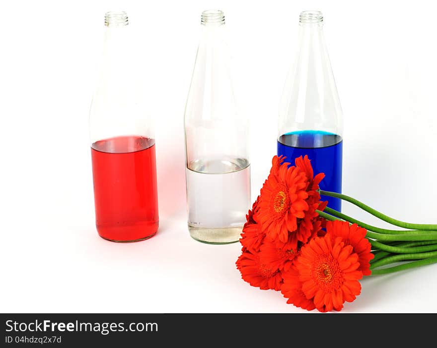 Dutch flag with coloured bottles and orange germini's