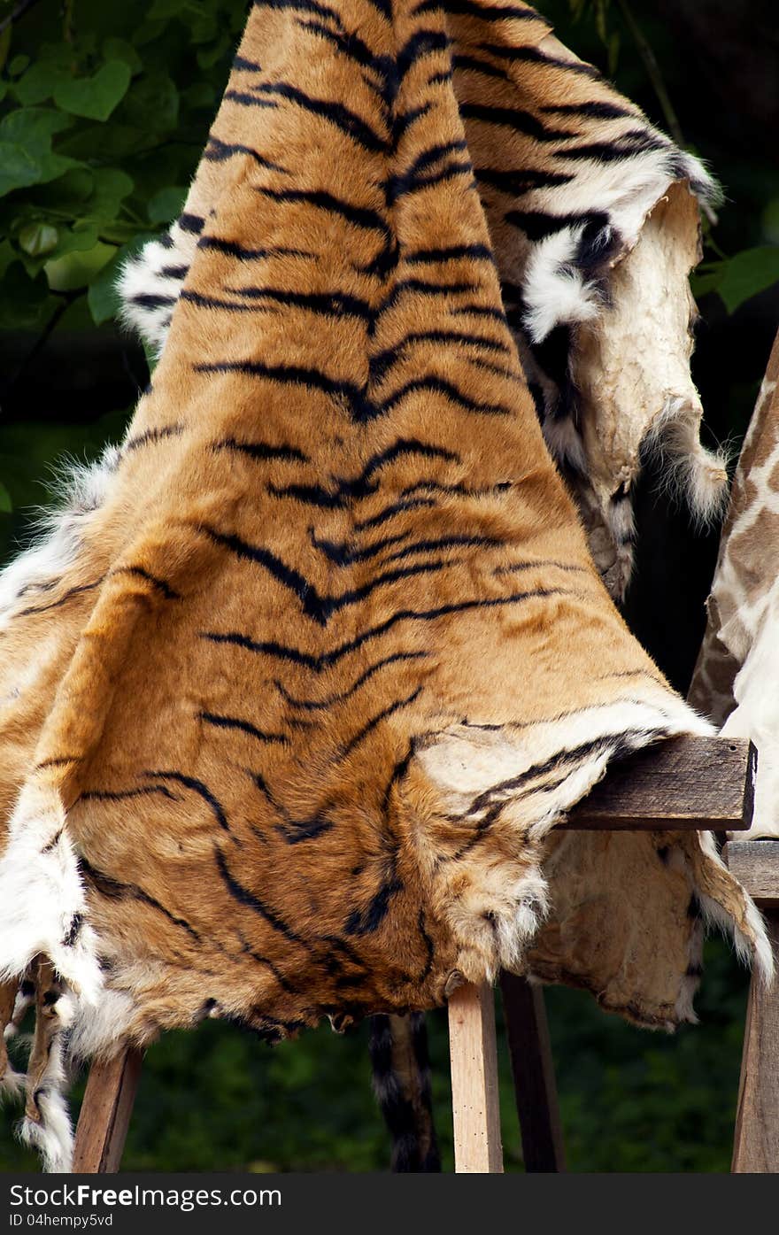 Hides used as an educational tool. Hides used as an educational tool.