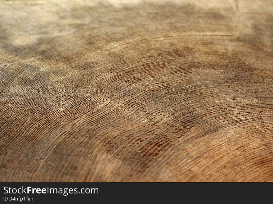 Tree rings