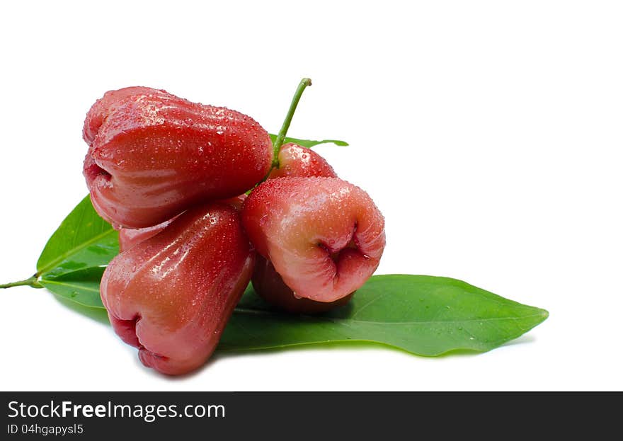 Rose apples isolate on white background