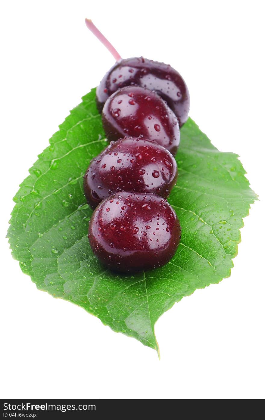 Wet cherry on a green leaf on white