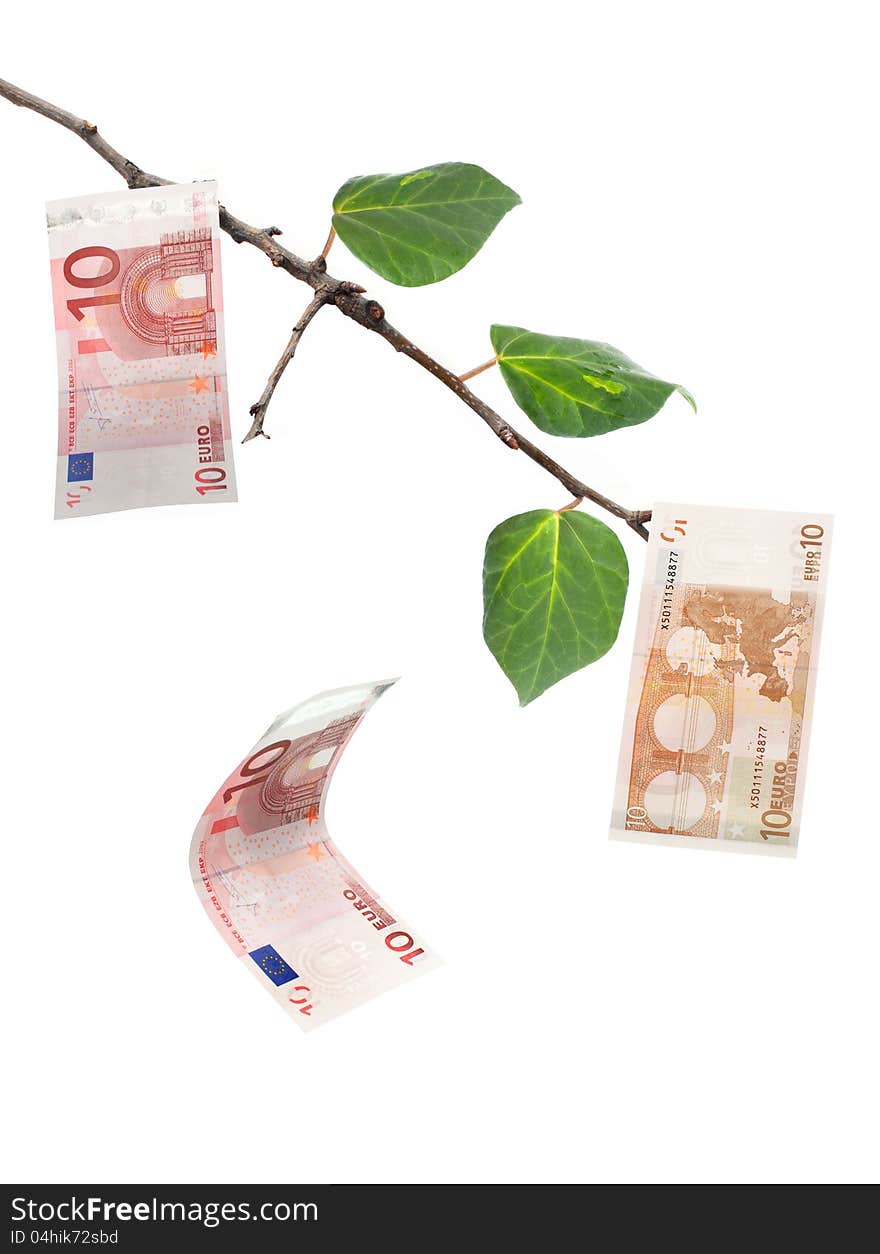 Euro banknote falling off a money tree