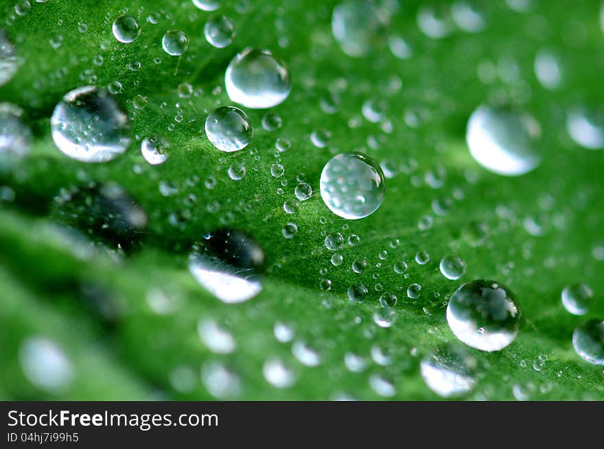 Close up image of water drops