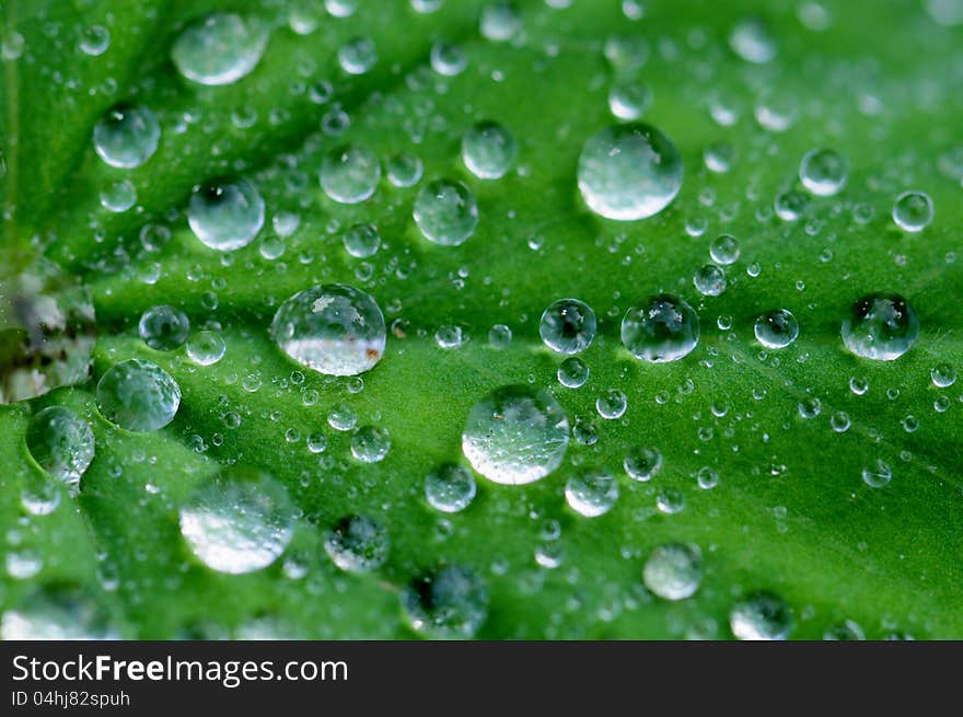 Close up image of water drops