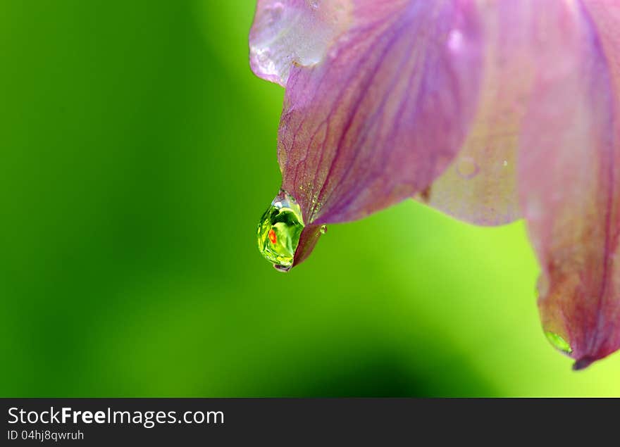 Close up image of water drops