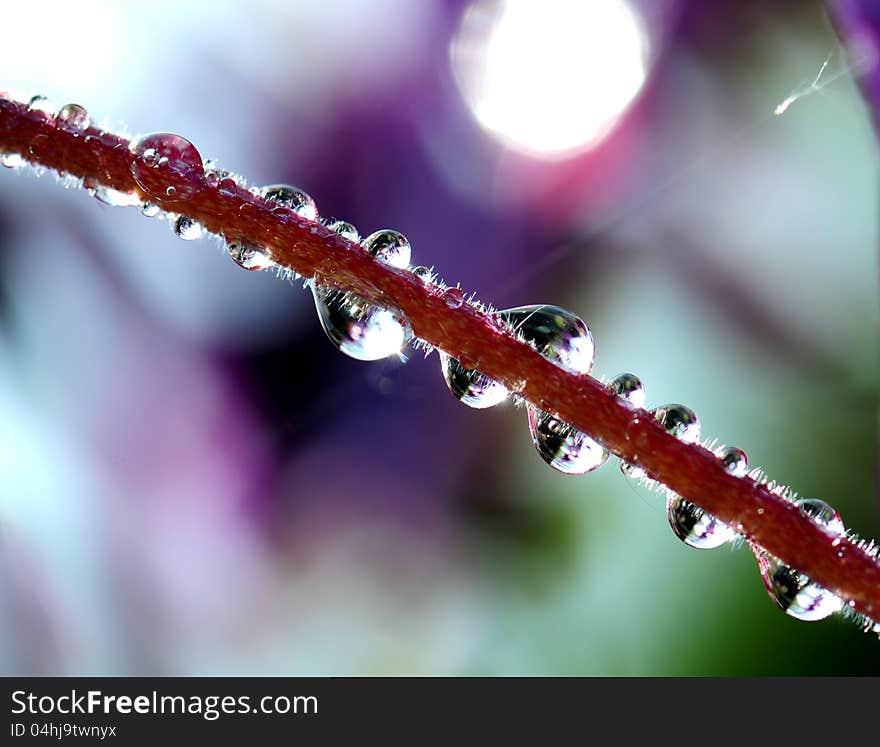 Close up image of water drops