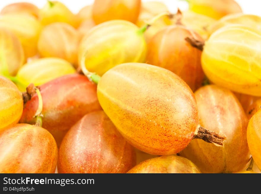 Gooseberry heap full frame closeup