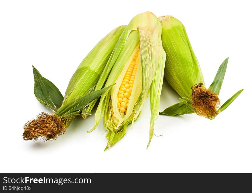 Corn Group