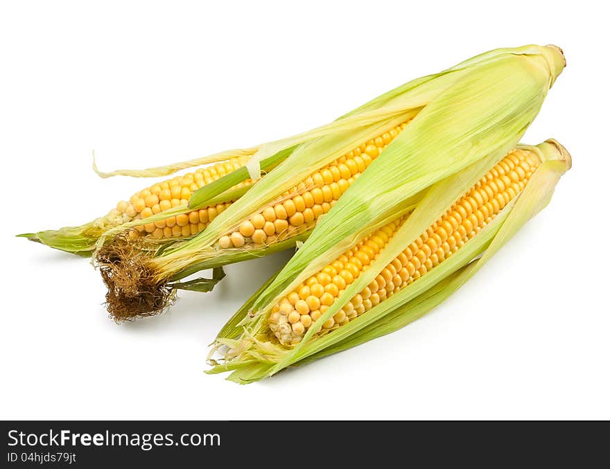 Corn group