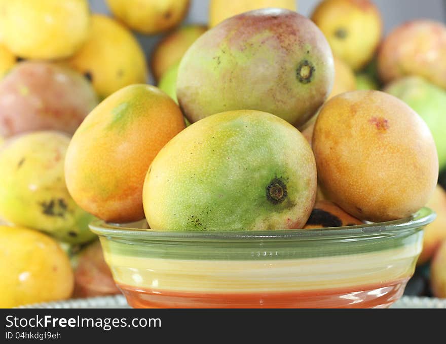 Ripe mangoes produced in the Dominican Republic. Ripe mangoes produced in the Dominican Republic