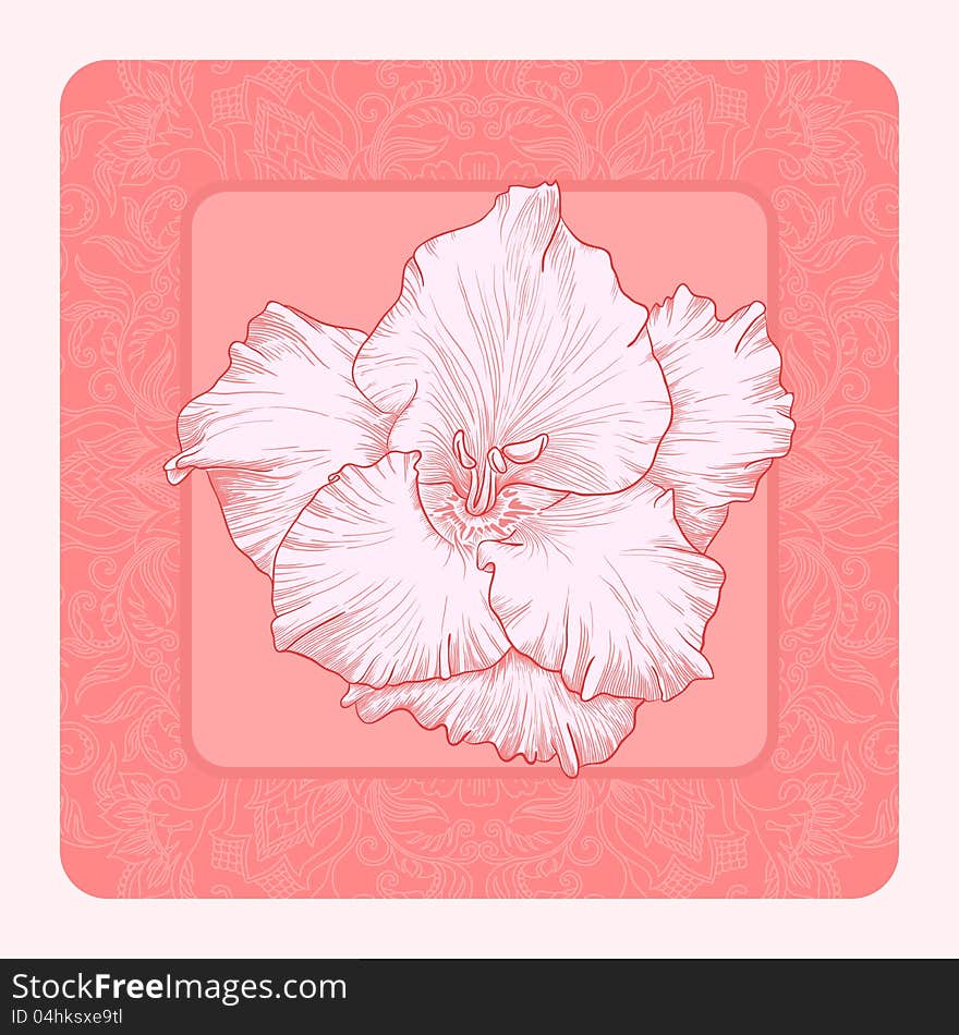 Vector illustration with ornament for greeting card with gladiolus. Vector illustration with ornament for greeting card with gladiolus.