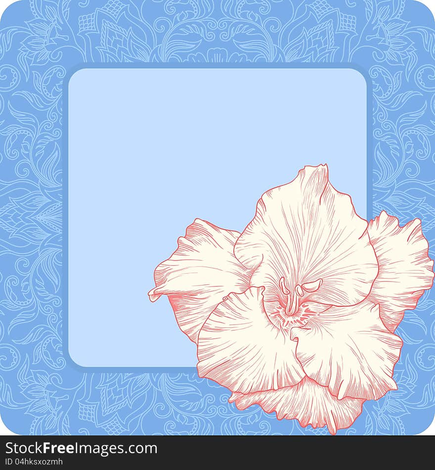 Vector illustration with ornament for greeting card with gladiolus. Vector illustration with ornament for greeting card with gladiolus.