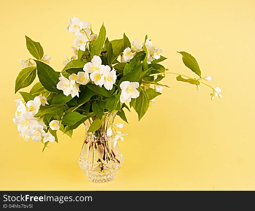 The jasmin bouquet is beautifully issued in a vase