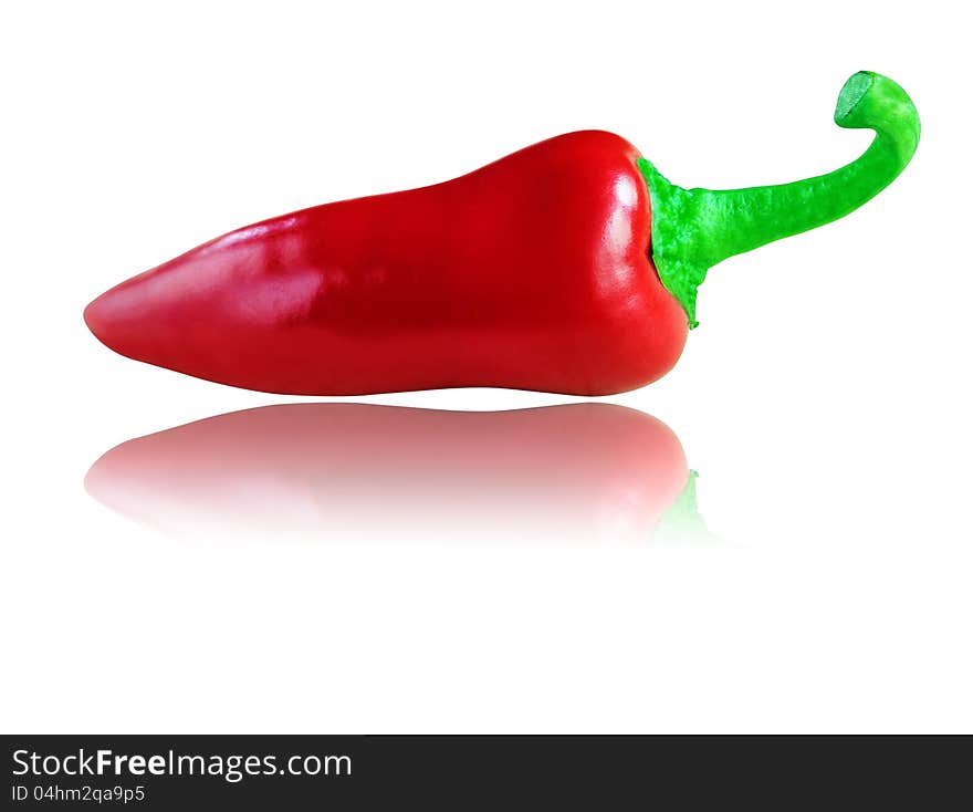 Full and ripe organic red chilli or chili pepper isolated on white with clipping path and reflection