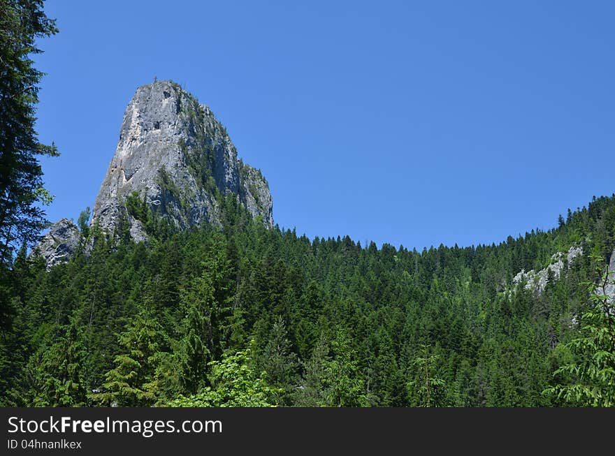 Peak above forest