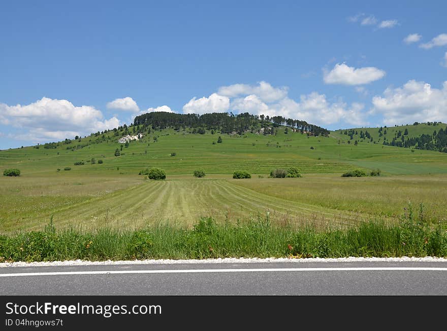 Hill landscape with private property corn. Hill landscape with private property corn