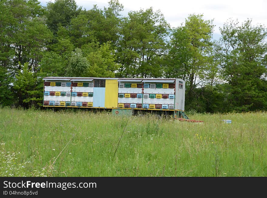 Bee hive car on sunny hill. Bee hive car on sunny hill