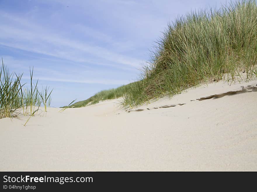 Sand Dunes Landscape