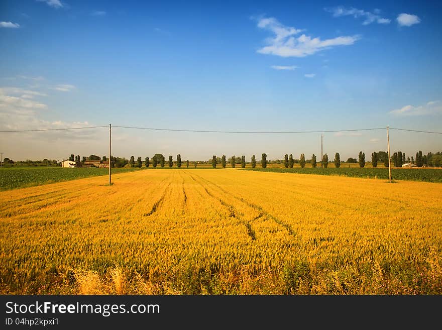 Rural Landscape