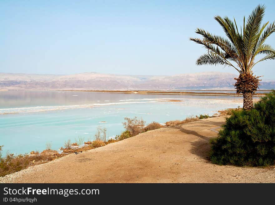 View of the famous health psoriasis treatment resort Dead Sea Israel coastline. View of the famous health psoriasis treatment resort Dead Sea Israel coastline