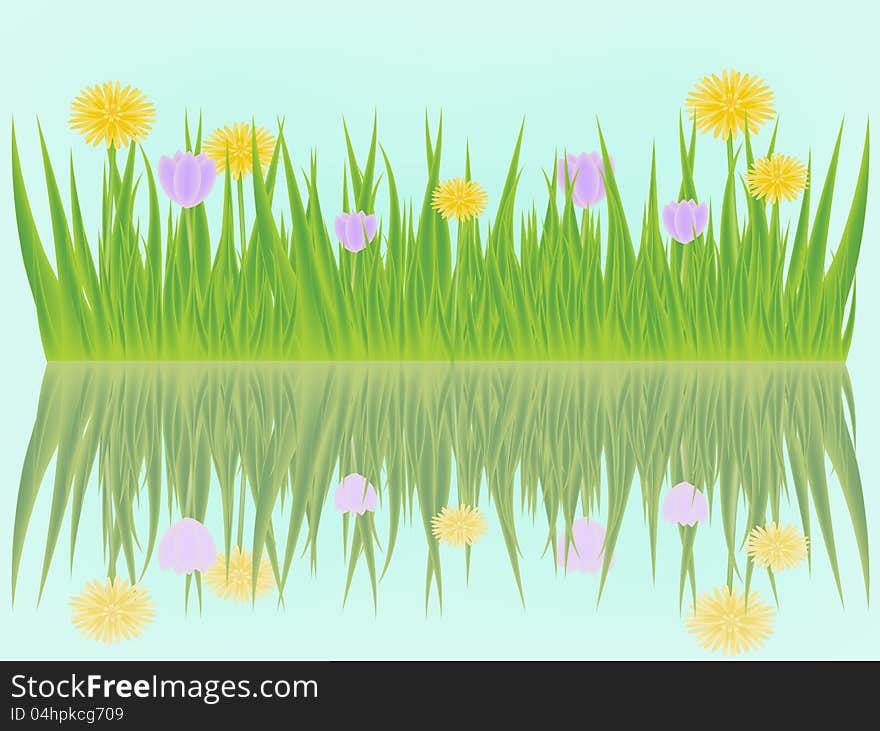 Flowering meadow reflecting in the water. Flowering meadow reflecting in the water