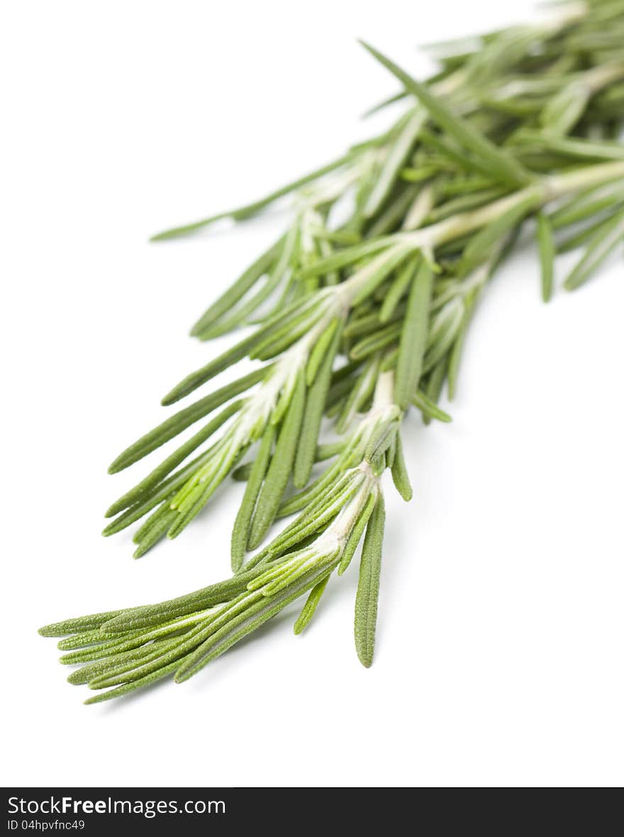 Sprig of fresh rosemary