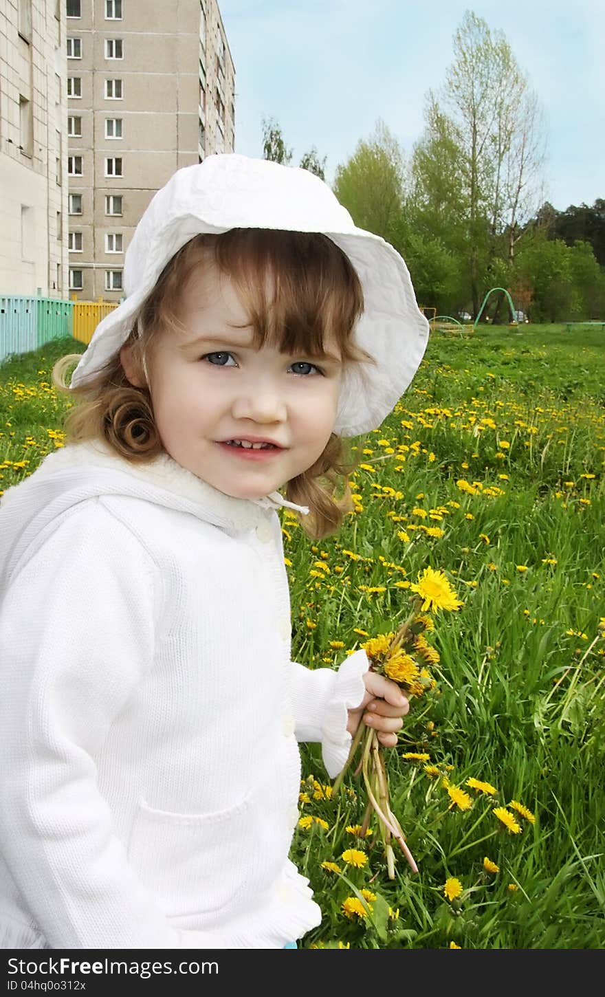 Cute little girl holds yellow dandelions