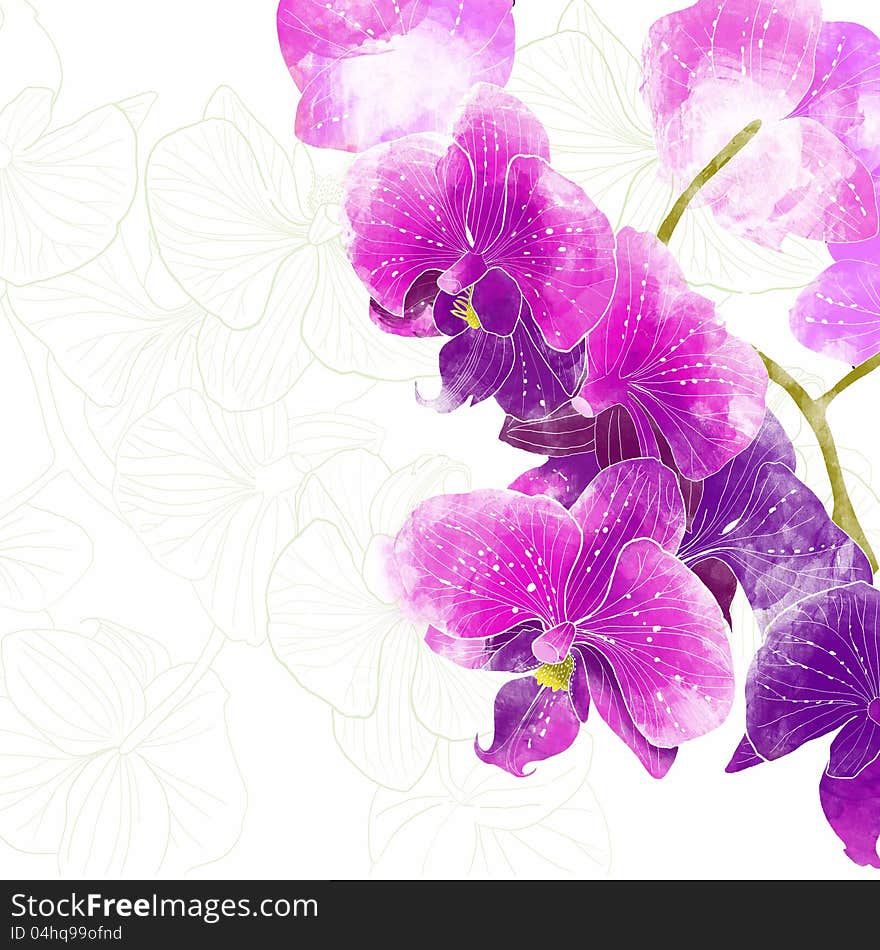 Backdrop of tropical flowers. Orchids. Backdrop of tropical flowers. Orchids