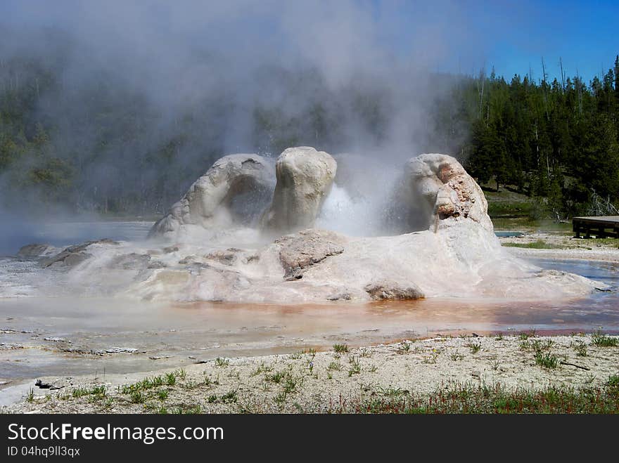 Geyser erupting in Yellowstone National Park