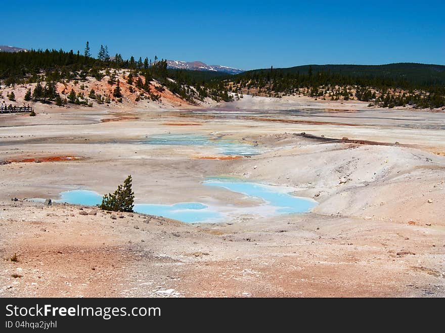 Geysers in Yellowstone National Park, Wyoming. USA.