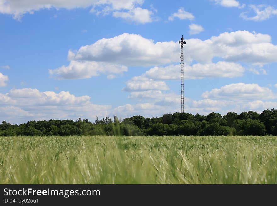 Mobile communication in the summer field. Mobile communication in the summer field