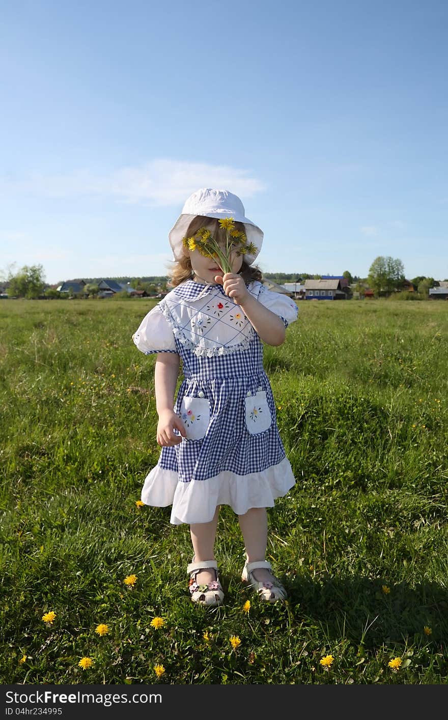 Little Girl Hides Her Face In Yellow Dandelions