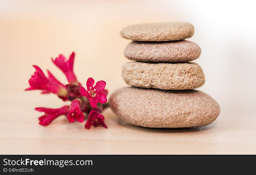 Zen Stones And Red Flower