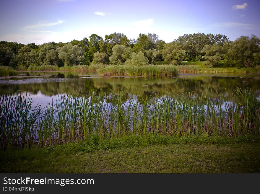 Photo of forest and its reflection in lake. Photo of forest and its reflection in lake