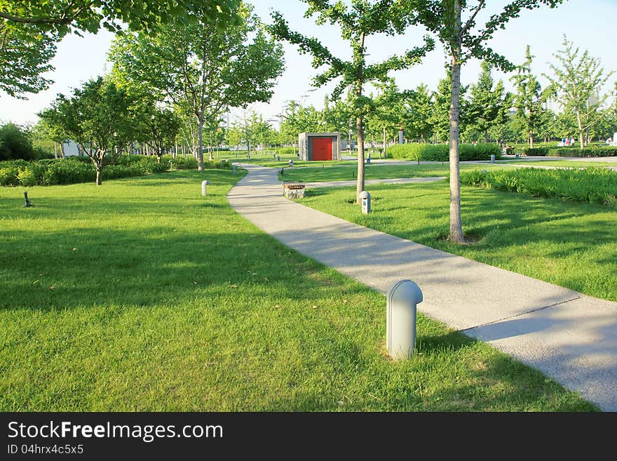 The summer landscape of park. The summer landscape of park