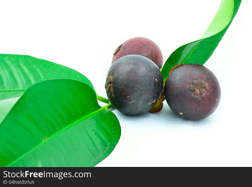 Isolated of mangosteen fruit and leaves