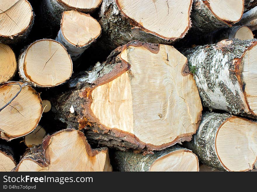 Pile of cutted birch logs. Pile of cutted birch logs