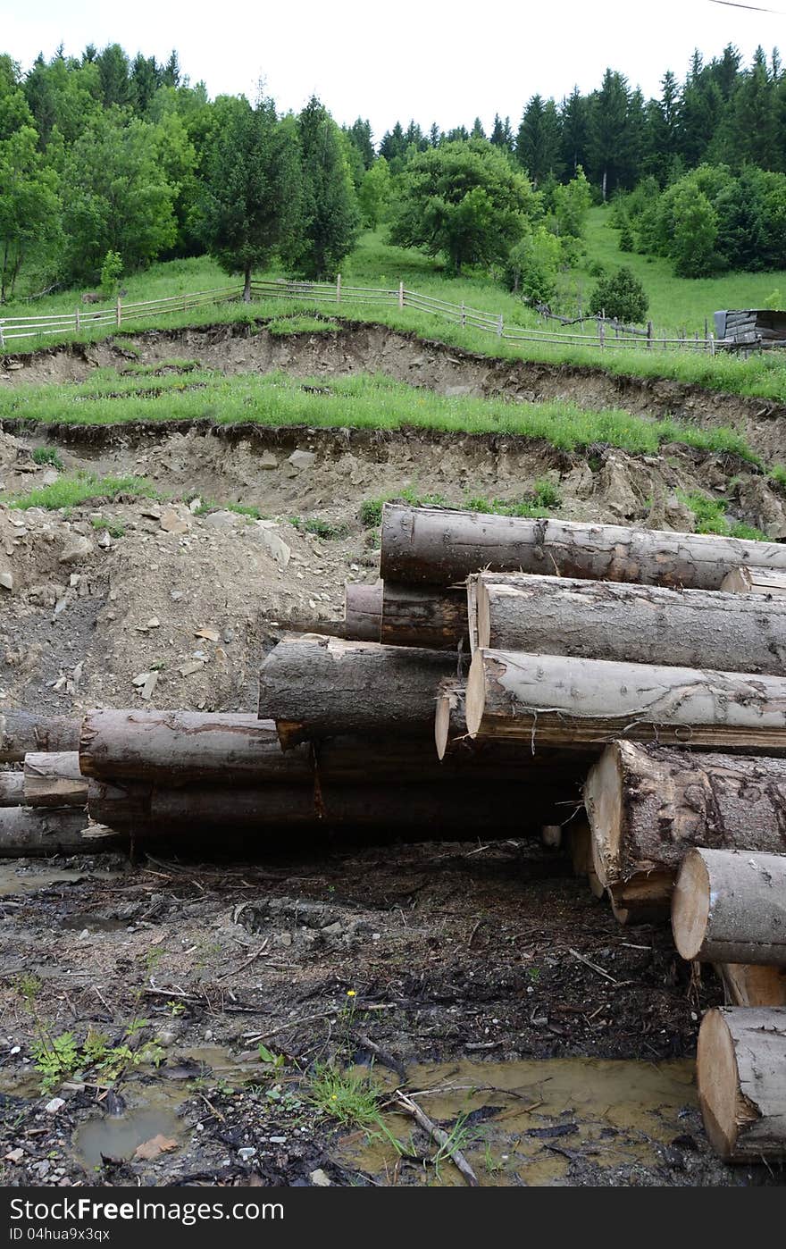 Cut branches at a wood exploitation and stored on a mountain valley. Cut branches at a wood exploitation and stored on a mountain valley