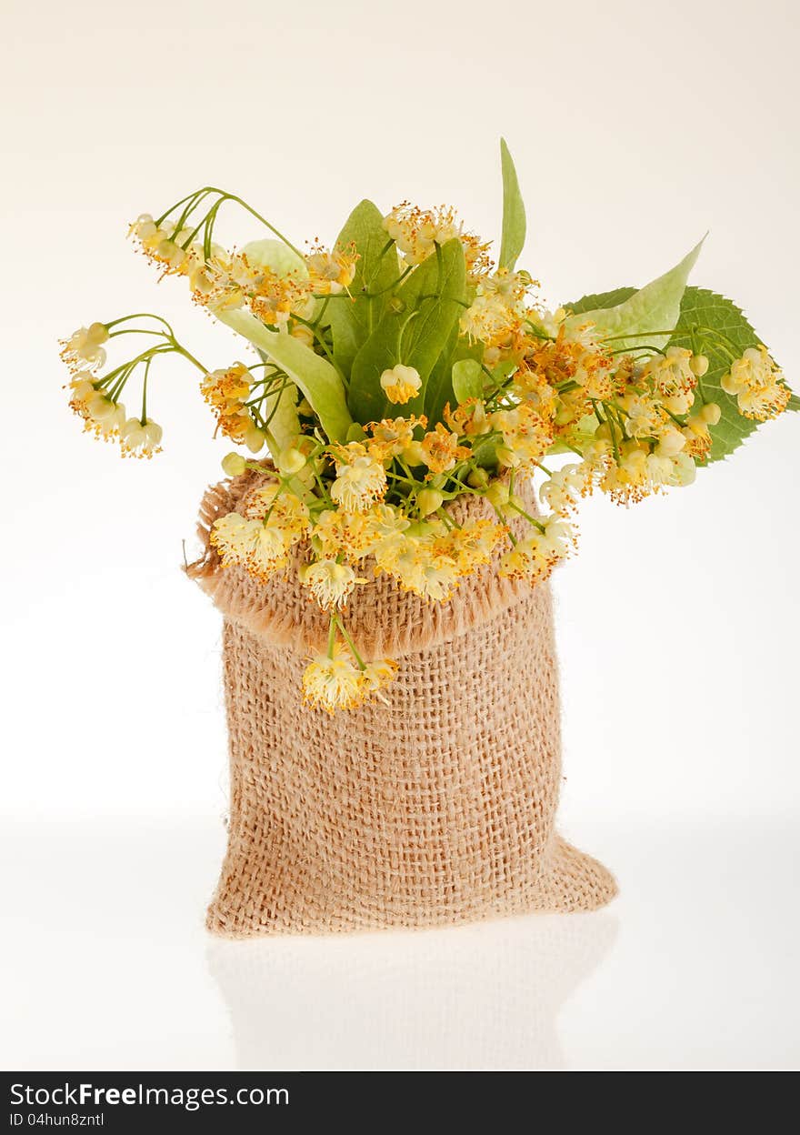 Bunch of linden tree flower in a burlap bag